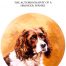 Sherry The Autobiography of a Springer Spaniel
